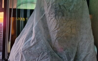 növények leander teleltetés